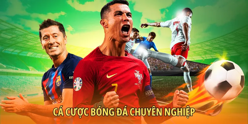 Cược túc cầu toàn kèo thơm