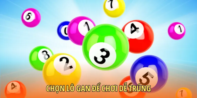 Chọn lô gan cẩn thận để tìm cơ may